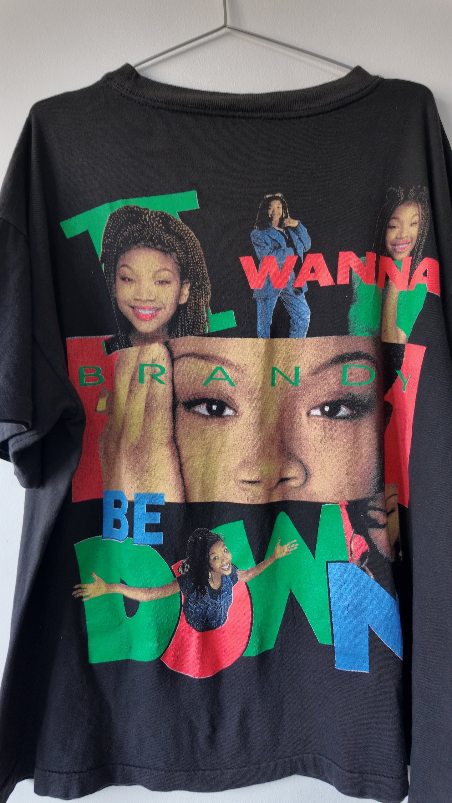 Wanna Be Down- MC Lyte, Yo-Yo, Queen Latifah Bootleg Rap Tee